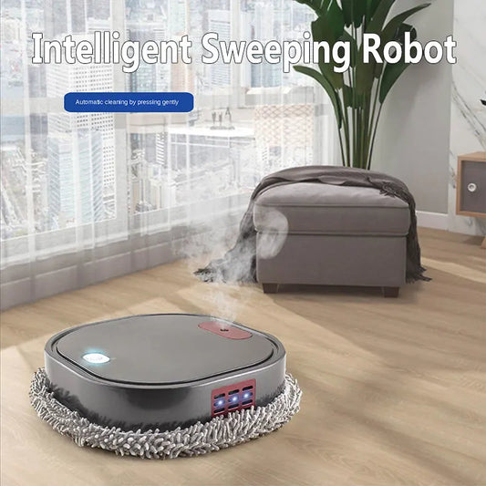 Cleverer Wisch-Roboter für Zuhause